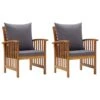 VidaXL Tuinstoelen 2 St Met Kussens Massief Acaciahout