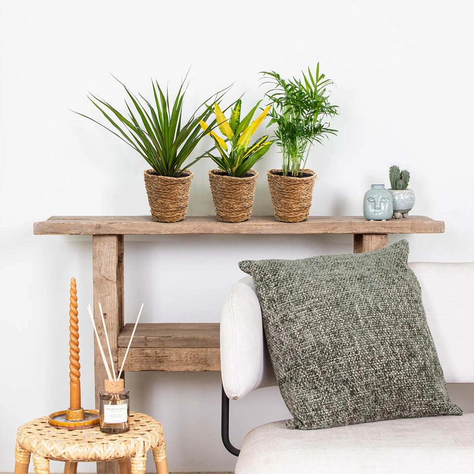 Mand Coco – Zeegras – Terami Kasih – ⌀14 Cm –↕ 10-15 Cm - Afbeelding 2