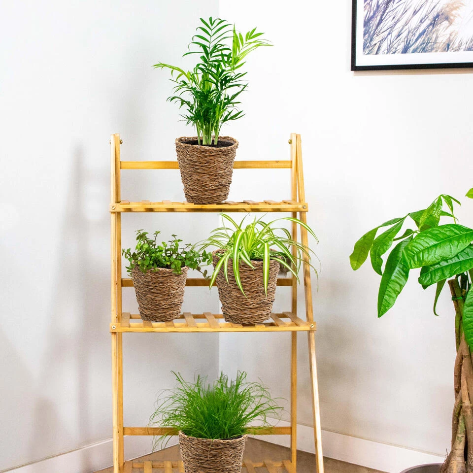 Mand Coco – Zeegras – Terami Kasih – ⌀14 Cm –↕ 10-15 Cm - Afbeelding 4