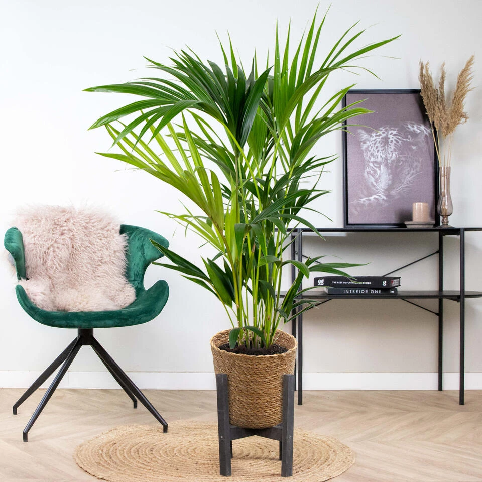 Mand Lux – Zeegras – Terami Kasih – ⌀24 Cm –↕ 20-25 Cm - Afbeelding 4