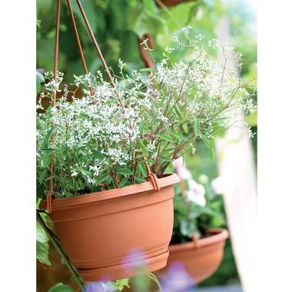 Prosperplast Prosperplats Bloempot Hangend - Terracotta - Kunststof - 24 Cm - Afbeelding 2