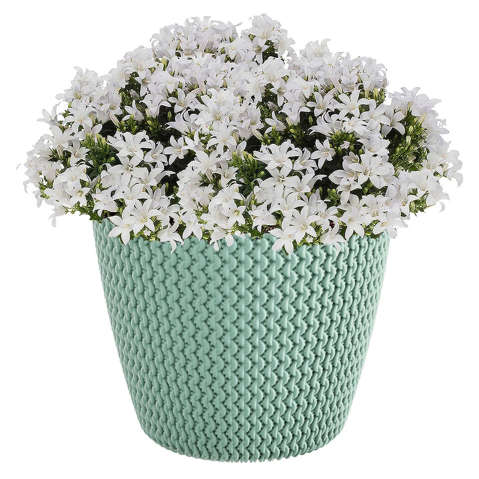 Prosperplast Plantenpot/bloempot - Kunststof - Mintgroen - D26 X H22 Cm - Afbeelding 2