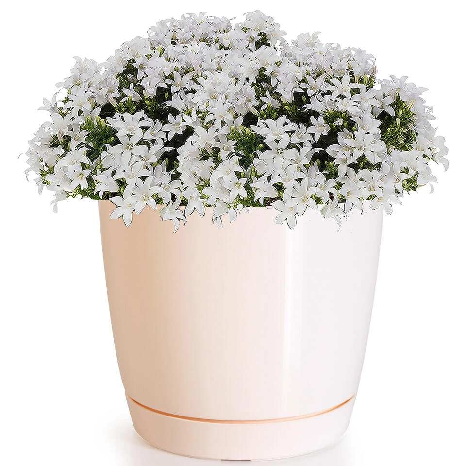 Prosperplast Plantenpot/bloempot - Kunststof - Creme-beige - D21 X H19 Cm - Afbeelding 2