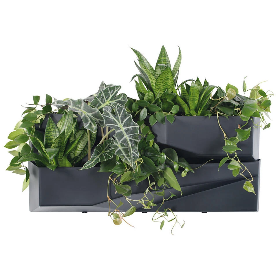 Prosperplast Verticale Tuin - 2x - Plantenbakken - Antraciet - 78 Cm - Afbeelding 4